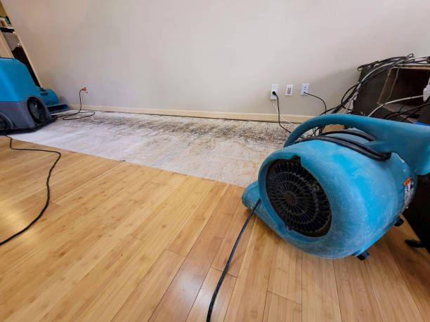Professional Structural Drying technician working in Sargentville, ME